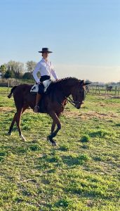 Yanostha Elevage de chevaux Lusitaniens - Jument Salsa