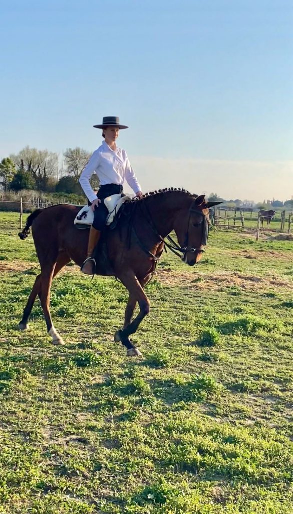 Yanostha Elevage de chevaux Lusitaniens - Jument Salsa